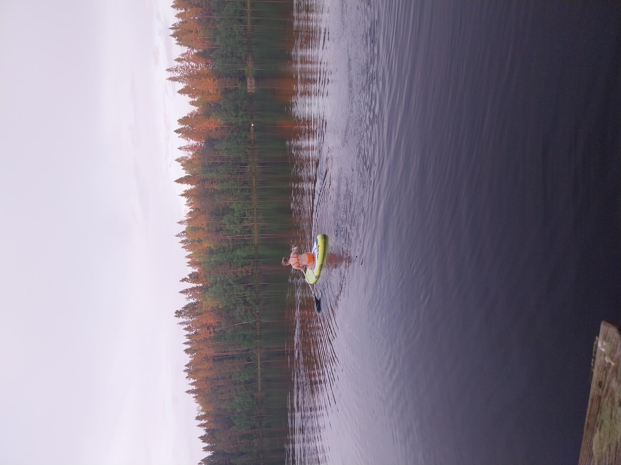 Sup-lautailua