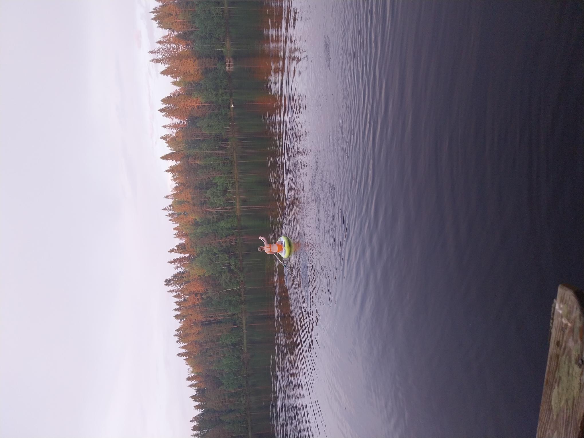 Sup - lautailua